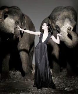 david bailey rankin s girlfrien...